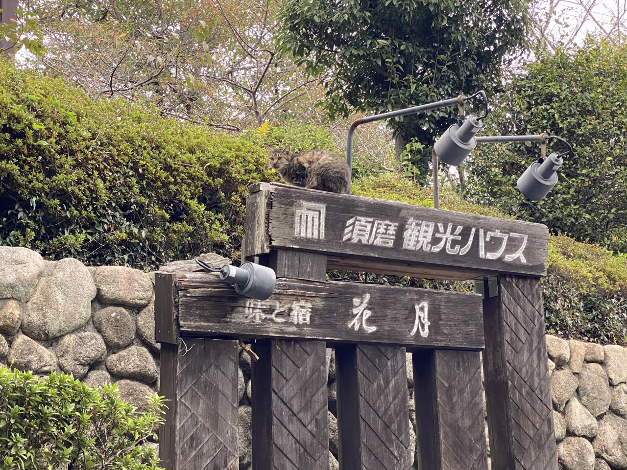 須磨観光ハウス 味と宿 花月