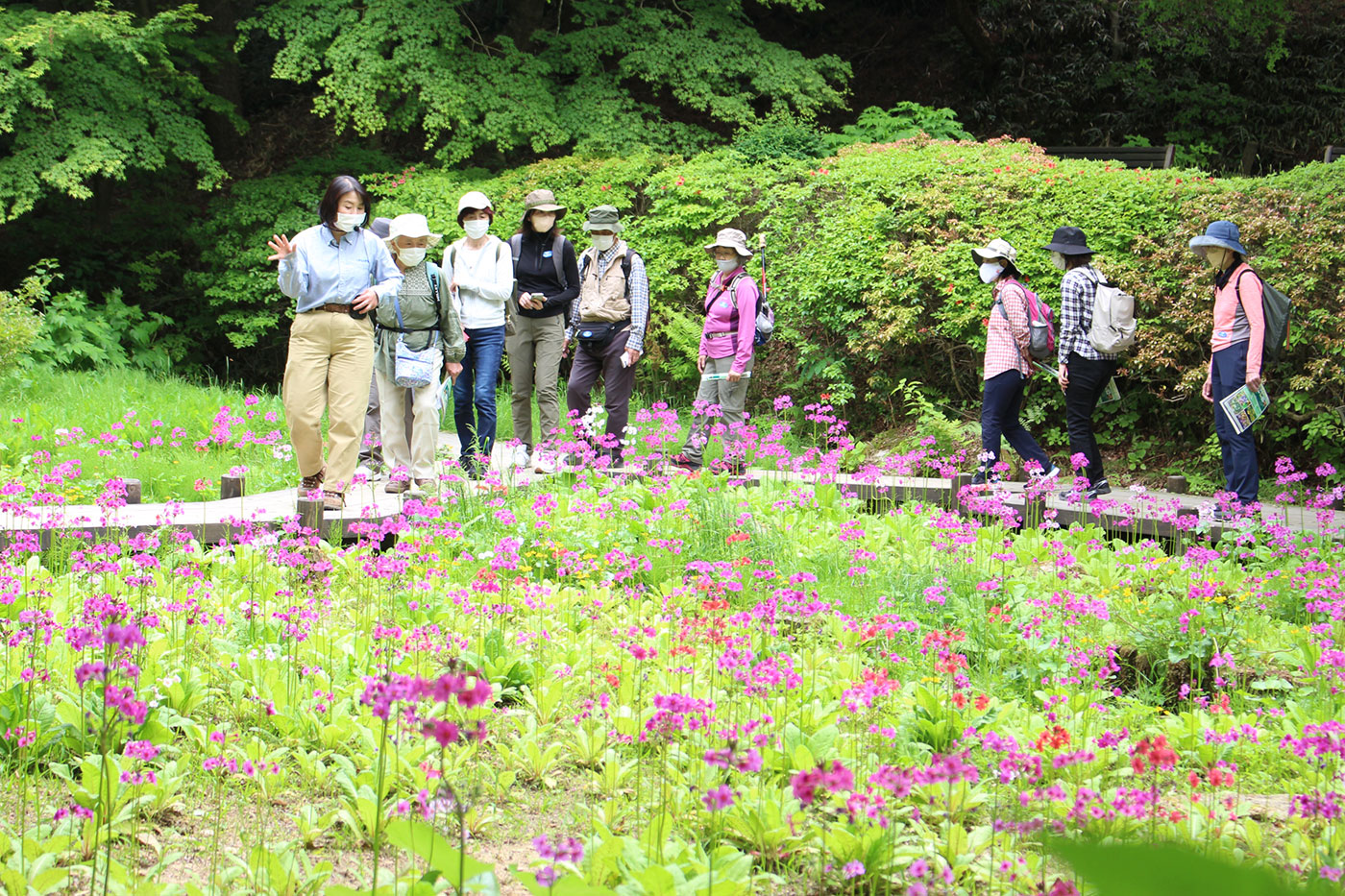 六甲高山植物園を散策
