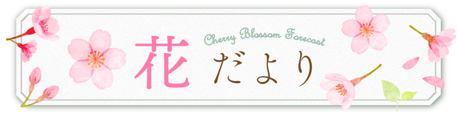 花だより